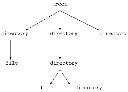 Hierarchy